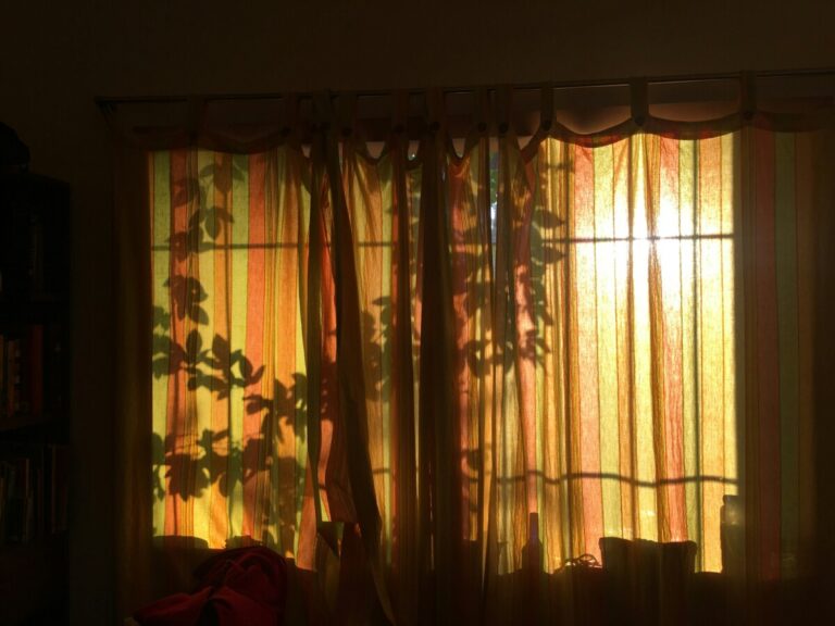 아무것도 하기 싫을 때, 햇살 아래서 마음을 회복하는 순간