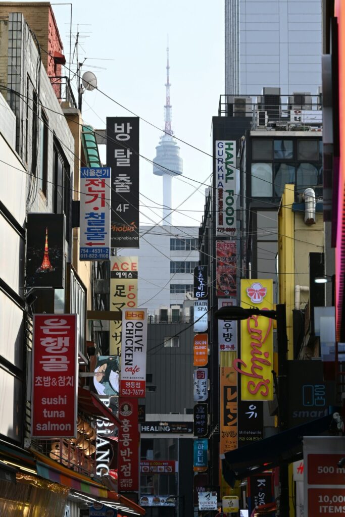 캐나다 시민권자가 10년 동안 생존하며 경험한 서울의 역동적인 거리 풍경-캐나다 시민권자로서 한국에 정착하며 마주했던 서울 명동 거리와 남산타워의 모습입니다.