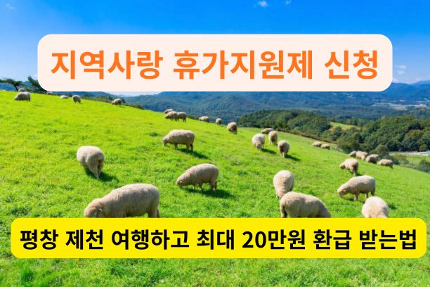 지역사랑 휴가지원제로 떠나는 평창 대관령 양떼목장의 평화로운 풍경