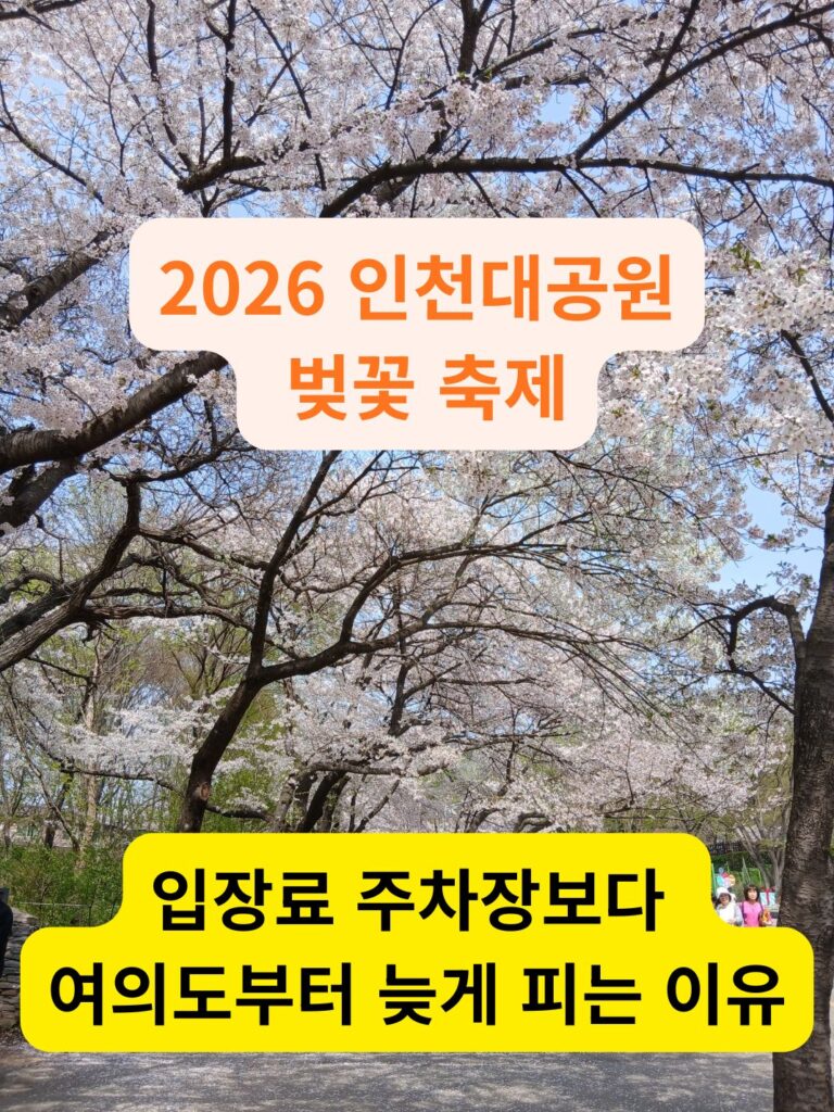 2026 인천대공원 벚꽃 축제 벚꽃 터널 아래를 걷는 많은 방문객