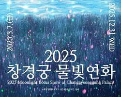 2025년 창경궁 물빛연화 홍보 포스터 이미지. 2026창경궁 물빛연화 행사의 변화를 설명하기 위한 참고 자료.