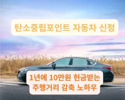 탄소중립포인트 자동차 신청 후 실천하는 친환경 드라이빙 도로 풍경