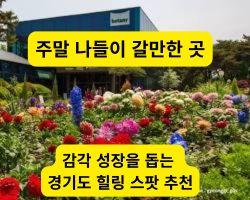 파주 벽초지수목원의 화려한 꽃들과 산책로 풍경
