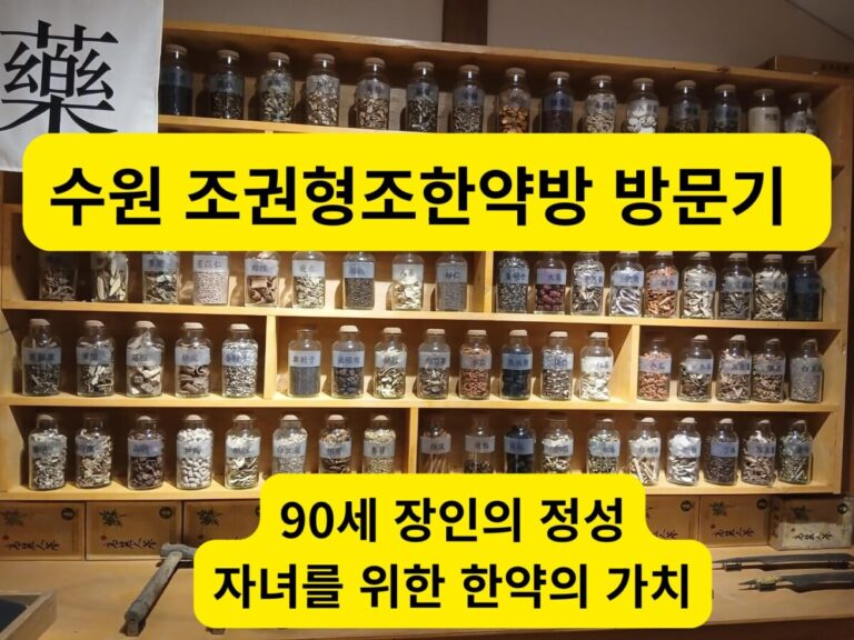 수원 화성 행궁 근처, 수많은 서랍이 정갈하게 정리된 조권형 조한약방의 전통 목재 약장 전경