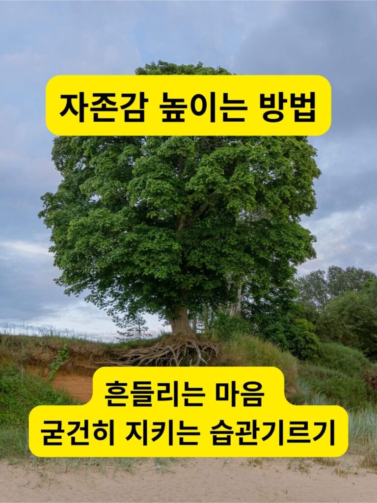 자존감 높이는 방법을 전해주는 단단하게 뿌리 내린 큰 나무의 모습