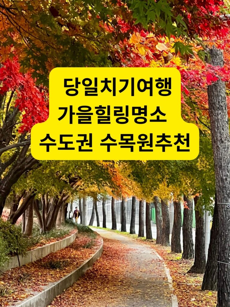 수도권 수목원 추천 숲길 산책로 풍경