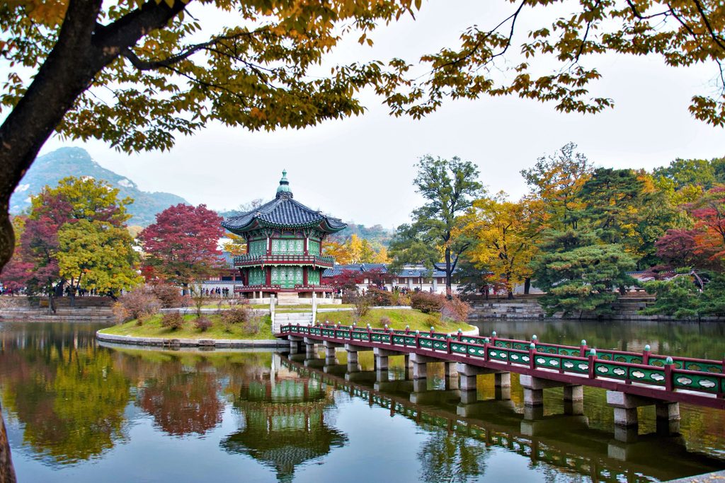 서울 가을 꽃축제 창경궁 춘당지 연못과 어우러진 단풍 및 야외 정원-서울 가을 꽃축제 정취를 고즈넉하게 즐길 수 있는 창경궁 춘당지 주변의 단풍나무와 고궁 정원의 평화로운 모습입니다.