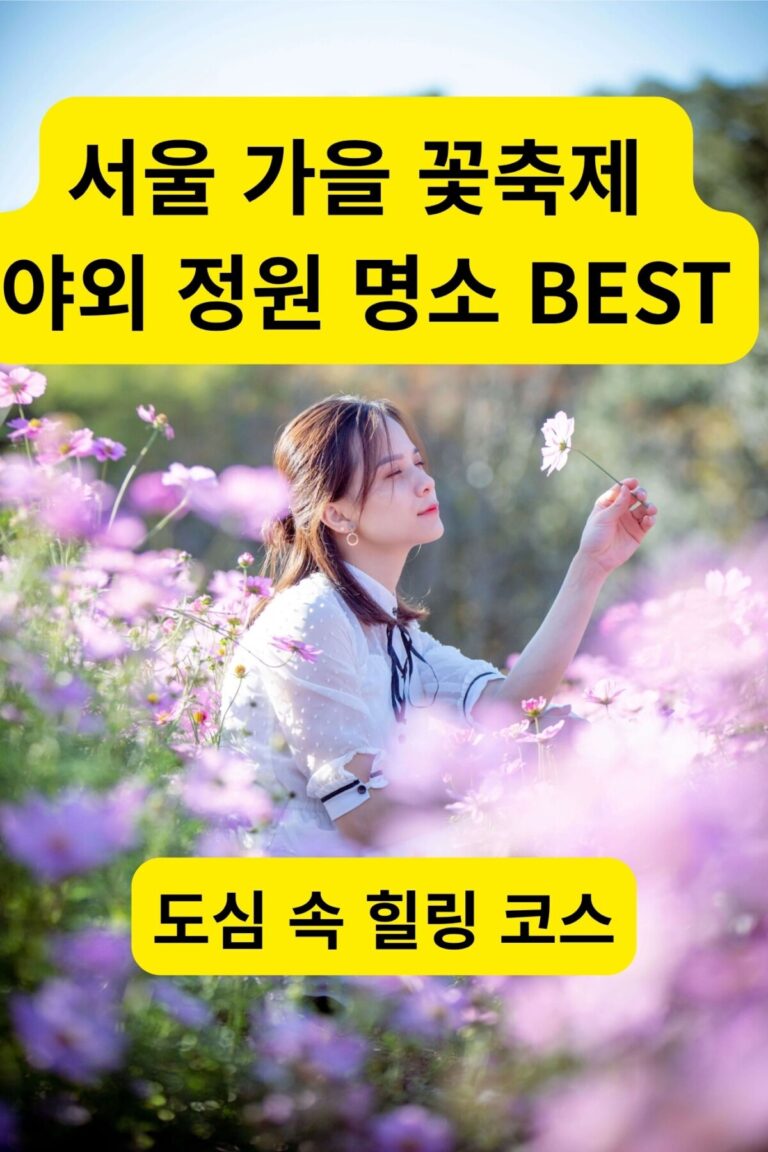 서울 가을 꽃축제 올림픽공원 들꽃마루 황화코스모스 만개 풍경