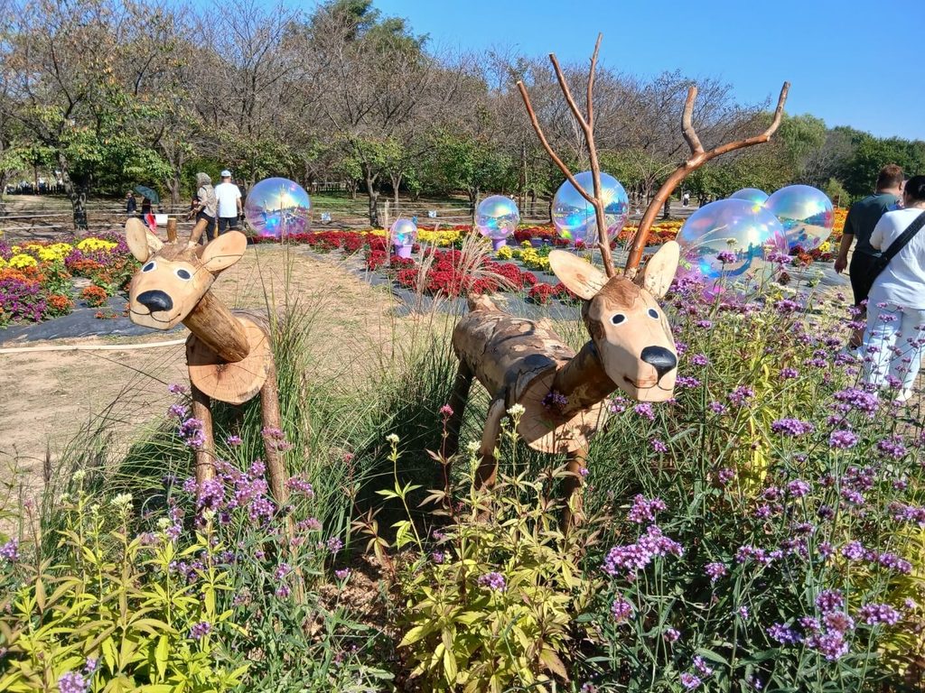 드림파크 국화축제 보랏빛 버베나 꽃밭에 서 있는 정겨운 친환경 목각 사슴 조형물-드림파크 국화축제 정원 곳곳에는 자연 친화적인 감성을 담아낸 아기자기한 목각 동물 조형물이 설치되어 따뜻한 미소를 짓게 합니다.